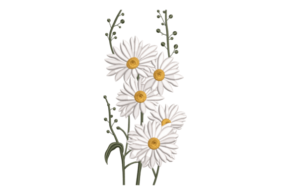 Daisy Bouquet – Classic Floral