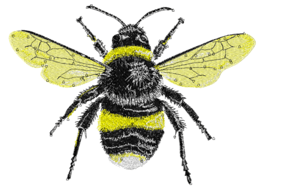 Fuzzy Bumblebee