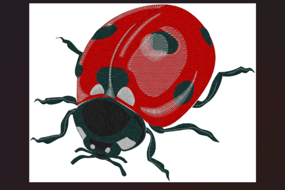 Ladybird