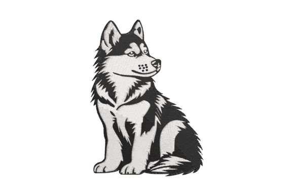 Siberian Husky Dog
