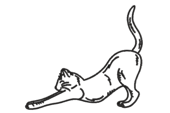 Stretching Cat Machine